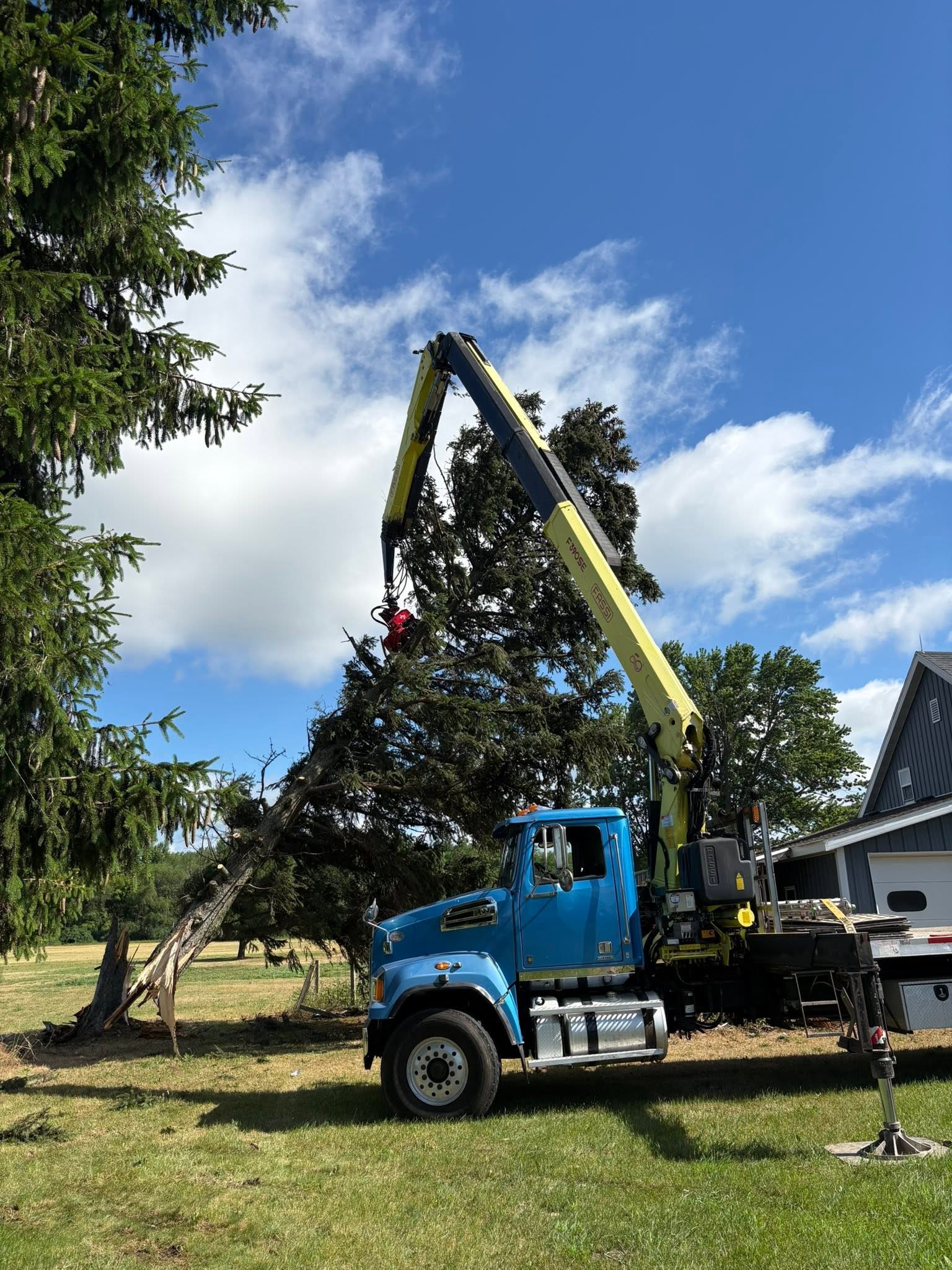 Tree removal work in Lakeview MI