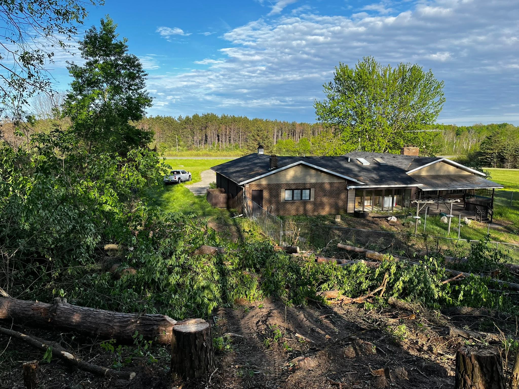 Storm damage tree cleanup in Lakeview MI